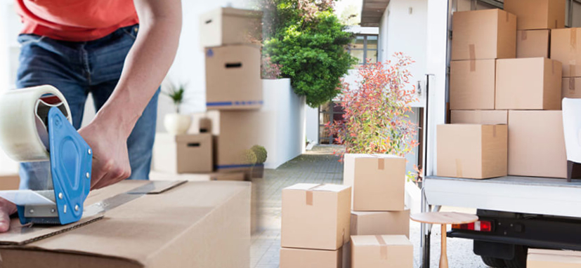 Movers and Packers